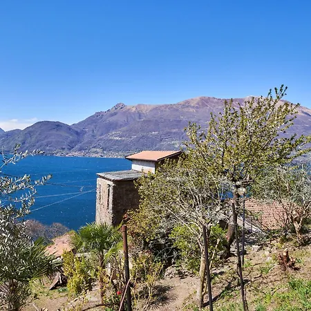 Oro Del Lario-1 By Interhome Holiday home *